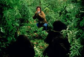 Gorillas in the Mist (1988) - IMDb