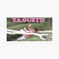 Ya Guey Sticker for Sale by Taskey Sisters | Redbubble