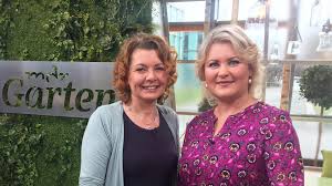 Wenn sie einen hausgarten für perish dekoration. Uber Gitti Gitti Gartenzwerg