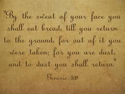 The verse in the bible talks about turning ashes and mourning into a thing of beauty. What Does The Bible Say About Cremation A Christian Study Jack Wellman