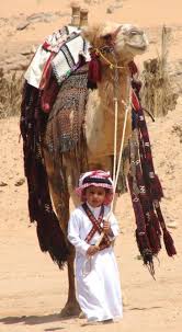 The camel's hump is an ugly lump which well you may see at the zoo; Pin On Wojtek