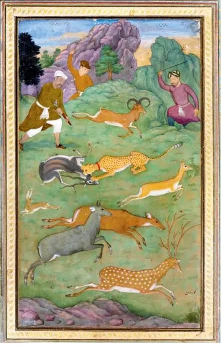 Translocation of Cheetah into India`s wild