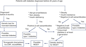 Urine tests for diabetes how can i check if i have diabetes? Maturity Onset Diabetes Of The Young Mody Current Perspectives On D Dmso