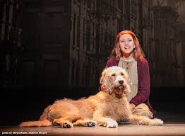 Virginia Musical Theatre