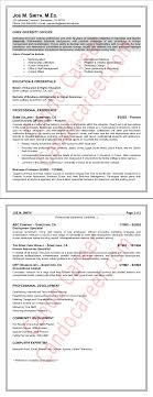 chief diversity officer resume sample
