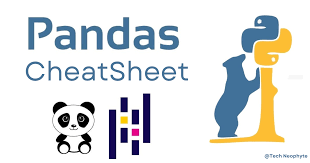 Image result for Pandas cheatsheet
