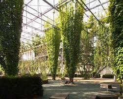 a vertical park in zurich greens up the grid landscape design green architecture industrial garden