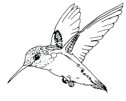 You can use our amazing online tool to color and edit the following robin coloring pages. Printable Robin Bird Coloring Pages Novocom Top