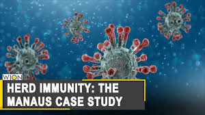 327,416 likes · 30,780 talking about this. Your Story Covid 19 Case Surge In In Brazilian City Of Manaus Despite Herd Immunity Youtube