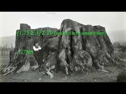 It rises dramatically 386 m above the surrounding terrain, and its summit is located 1,558 m above sea level. Pin On They Are Trees
