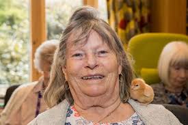Farm animals visit the Bentley House care home in Hertford