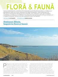 Capul turcului eforie sud, constanta •. Pdf StaÈ›iunea Eforie BogatÄƒ In FlorÄƒ È™i FaunÄƒ