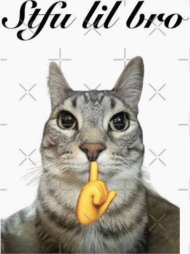 Stfu lil bro Sticker for Sale by TSGDesign | Redbubble