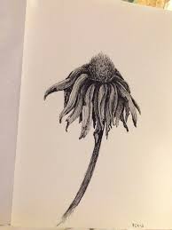 Pin By Syd Shawver On Tattoo Flower Drawing Dying Flowers Flower Tattoos