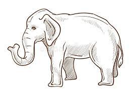320x320 art by kirsty bruce. Elephant Animal Standing Side View Hand Drawn Sketch Illustration Stock Vector Illustration Of Fauna Background 163262660