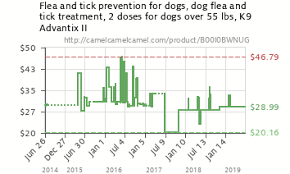 Flea And Tick Prevention For Dogs Dog Flea And Tick