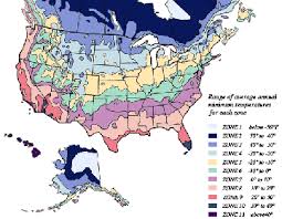 Plant Hardiness Zone Chart And Info