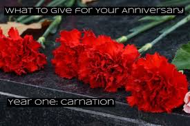 We did not find results for: The Right Flower To Give For Each Year Of Your Marriage Holidappy