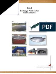 Maybe you would like to learn more about one of these? Prakarya Dan Kewirausahaan Sma Kelas Xi Bab 3 Budidaya Pembenihan Ikan Konsumsi Database Pdf Pdf