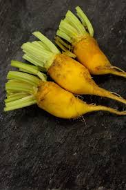 « see the general plant entry for beets (beta). Yellow Cylindrical Baker Creek Heirloom Seed Company Facebook