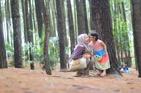 Hutan ini berada di bawah pengawasan resort pengelolaan hutan selain goa gajah imogiri juga memiliki wisata dalam tanah lainnya, yaitu goa cerme. Wisata Selfie Hutan Pinus Imogiri