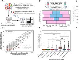 Systemic antibody responses against human microbiota flagellins are  overrepresented in chronic fatigue syndrome patients