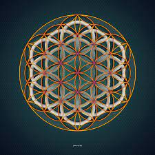 Amazing flowers pretty flowers tulips flowers spring flowers natur wallpaper foto poster flower phone wallpaper iphone wallpaper animal wallpaper. 48 Flower Of Life Wallpaper On Wallpapersafari