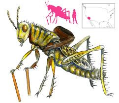 Image result for Harpachne