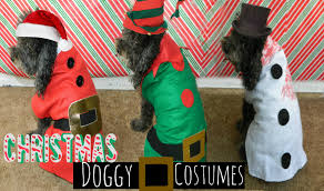 The same principle was used for the belts on the elf's shirts. Adorable Outfits For Your Furry Friend This Christmas Northern Natal News