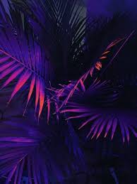 Check spelling or type a new query. Background Purple And Tumblr Image 7086548 On Favim Com