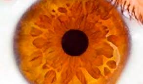 Tlak v oku alebo pocit tlaku v oku je tlak, ktorý cíti človek v oku, ale aj za okom. V Ocich Muzete Cist Jako Ve Slabikari Vitalia Cz