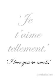 I Love You So Much Improveyourhandwriting French Love Quotes French Words Quotes French Quotes