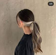 Mecha Colorida Hair Color Streaks Hair Inspo Color Hair Color Underneath