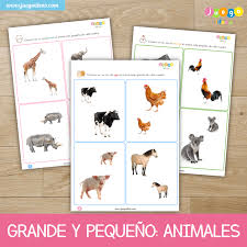 Interactivo de animales para preescolar : Grande Y Pequeno Animales 2 Anos A Mas Juegoideas