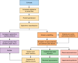 Liver Disease Pathophysiology Of Disease An Introduction