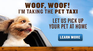 Ranging from home service providers. Kinslow Veterinary Clinic Wilson County Tennessee