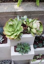 Diy jardinera con bloques de hormigón. Jardineras Con Bloques De Hormigon