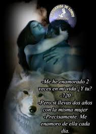 Pin De Leo Yucute En Animales Frases De Lobos Lobos Enamorados Diario De Un Lobo
