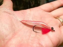 イワイミノー時短バージョン | Tokyo Fly Fishing & Country Club | 東京フライフィッシング＆カントリークラブ