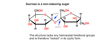 Carbohydrates On The Mcat: Things To Know | Inspira Advantage