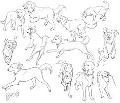 Ori Golden Retriever Poses By Wolfvane14 On Deviantart Dog Sketch Animal Drawings Animal Sketches