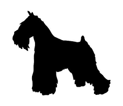 Black And White Mini Schnauzer Clipart Miniature Schnauzer Dog Breed Silhouette Vinyl Decal Sticker 4 35 Quot X 3 75 Quot Black Schnauzer Dogs Schnauzer Dog Silhouette