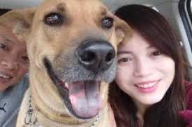 An app and website that allows you to connect with pet sitters, safely and securely. Pet Sitters In Butterworth With Best Prices On Petbacker