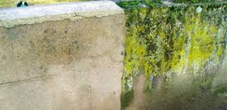 J'en passe et des meilleures ! Comment Nettoyer Des Murs Facades Et Terrasses Re A La Hune