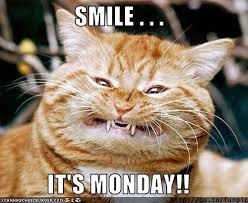 There is also a monday meme that features grumpy cat. 30 Best Memes To Start Monday The Right Way Sayingimages Com