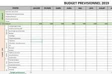 Budget Previsionnel