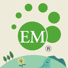 The typographic em is named after the metal type for the capital m in early printing, whose body was square (the printed letter m is almost never one em in width). August 8 World Em Mudball Em Research Organization Inc