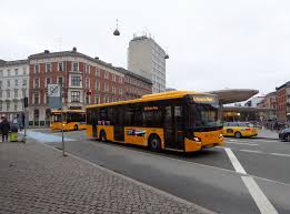 Image result for Bussea