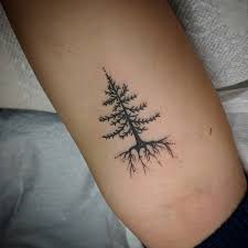 Evolve body art studio, located in downtown farmington. Studio Evolve Tattoo Studioevolvellc Twitter