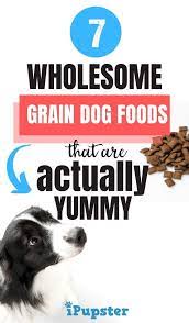 Best Dog Food Made With Wholesome Grains Of 2020 Best Dry Dog Food Top Rated Dog Food Best Dog Food